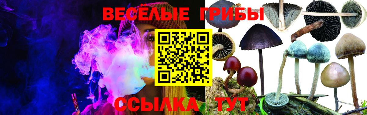 Галлюциногенные грибы мухоморы  дарнет шоп  Белая Калитва  Вход с VPN 