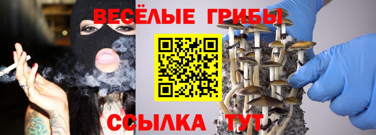 Галлюциногенные грибы ЛСД Белая Калитва